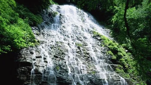 工业绿色